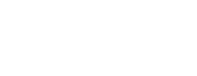 Mr Meat